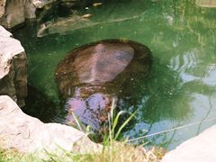 -上海野生动物园