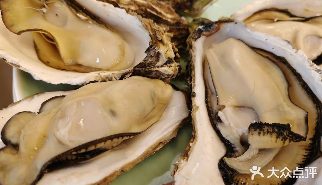 鸿洋烤肉中海城店——味蕾的狂欢之旅  朋友强
