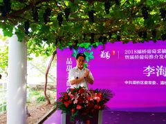 -白鹿原葡萄主题公园