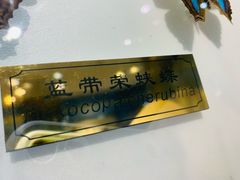 -上海昆虫博物馆