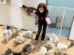 -1013 PET SHOP精品宠物商店(丁香店)