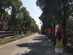 -上海海湾国家森林公园