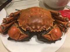 -新光酒家·河豚·海鲜·蟹料理(浦东店)