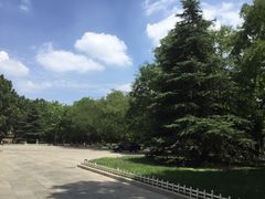 -曲阜师范大学(曲阜校区)