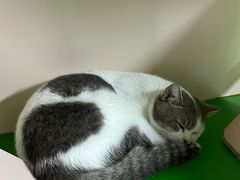 -茂业百货(东门店)