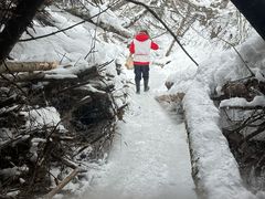 -峡谷浮石林景区
