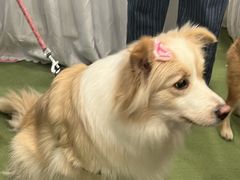 -凯德广场(武胜路店)