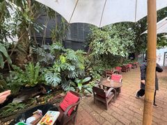 -Fern Forest Cafe