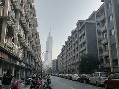 -紫峰大厦