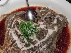 -鸽子侯·家宴·平价海鲜(绿地店)