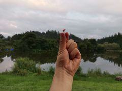 -井冈山风景名胜区