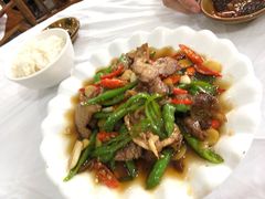 -明升萝卜汤