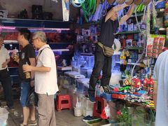 -清平路水族市场