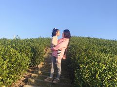 -帐篷客·溪龙茶谷度假酒店