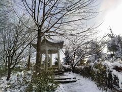 -四明山国家森林公园