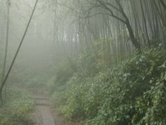 android_upload_pic-西湖风景区十里琅珰-五云山