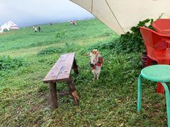 -新疆那拉提国家旅游度假区