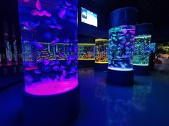 -石家庄极地海洋世界