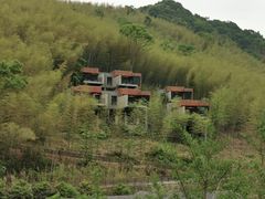 -宁海安岚·南溪阁全日餐厅