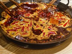 -肥龙火锅(南坪店)