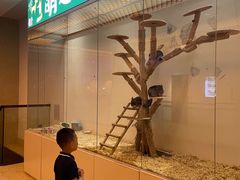 -宁波九龙湖开元度假村