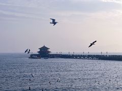 -上街里市集(悦喜客来广场店)