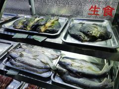 -布尔津河堤夜市