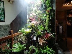 -银生食府·普洱菜(金星店)