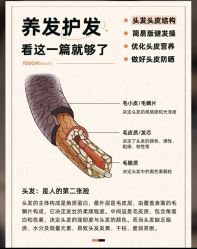 -Bollins波林丝•专研护发中心