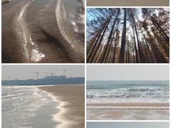 -日照海滨国家森林公园