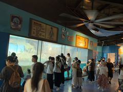 -海合安武汉极地海洋公园