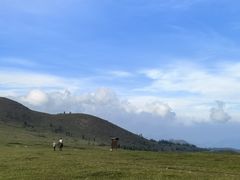 -灵山