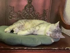 -逃脱反斗城沉浸剧情密室(北京路店)