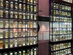 -广东中医药博物馆
