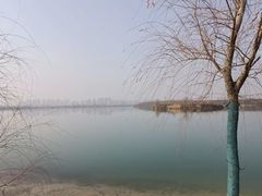 -南湖国家城市湿地公园