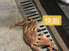 -海都六福酒家(世博广场店)