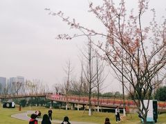 -府河摄影公园