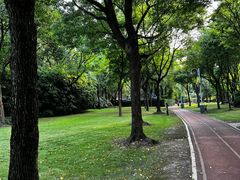 -新虹桥中心花园