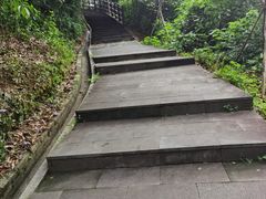 -羚羊峡古栈道森林公园