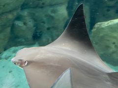 -珠海长隆海洋王国