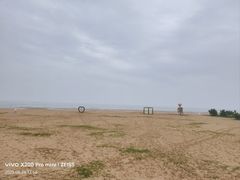 -日照海滨国家森林公园