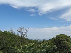 -普陀山风景区-佛顶山