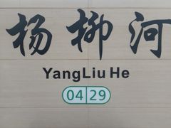 -杨柳河(地铁站)