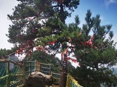 -老界岭旅游度假区