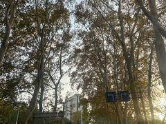 -毛氏汽水包(山海关路店)