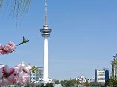 -南通濠河风景名胜区