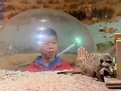 -正佳雨林生态植物园