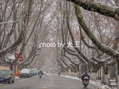 -南京西康宾馆