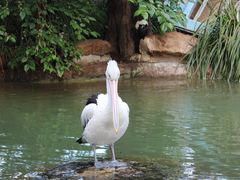 -费瑟代尔野生动物园