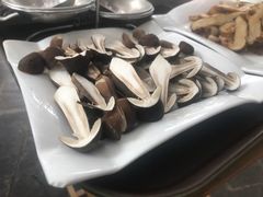 -蘑统田下·野生菌火锅